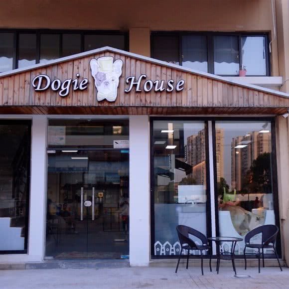 Dogie House宠物店:上海城区嘉定区南翔附近