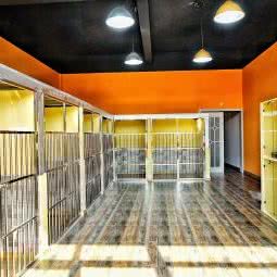 派多格宠物PETDOG(芳智路店):上海城区嘉定区南翔附近