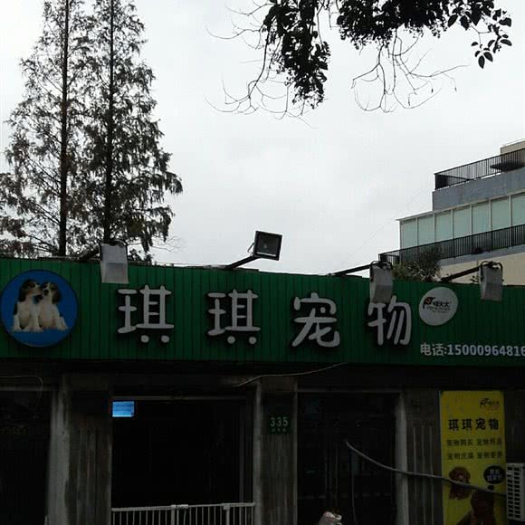 琪琪宠物:上海城区嘉定区南翔附近