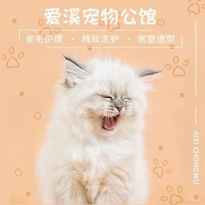 爱溪狗狗公馆:北京城区海淀区万柳附近