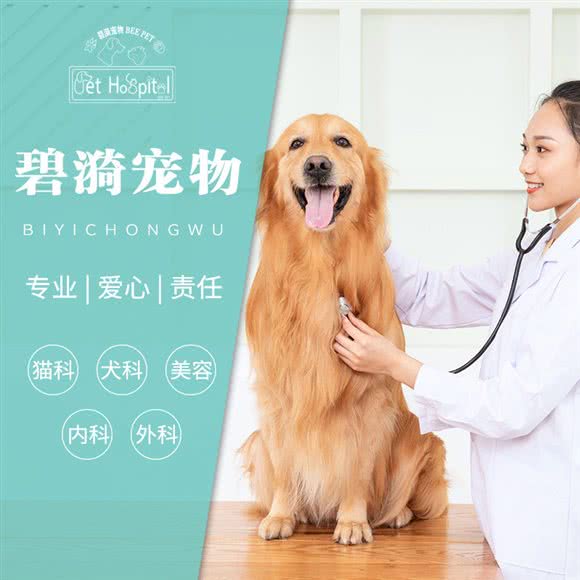 碧漪宠物诊所:上海城区嘉定区南翔附近