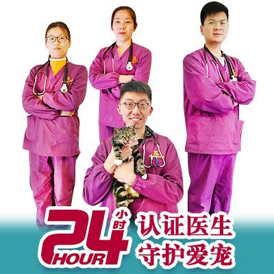 顺强宠物诊所(南翔店):上海城区嘉定区南翔附近