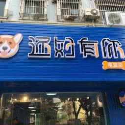 还好有你萌宠店(阜康西路店):上海城区嘉定区安亭镇附近