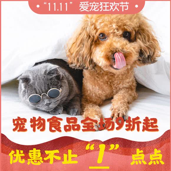 Queen之国度·萌宠生活馆:上海城区嘉定区安亭镇附近