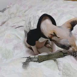 关于它:北京城区海淀区人民大学附近