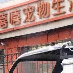 嘻嘻宠物生活:北京城区海淀区人民大学附近