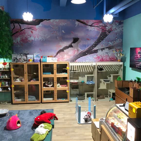 月牙秘宠宠物生活馆(江桥万达店):上海城区嘉定区江桥附近