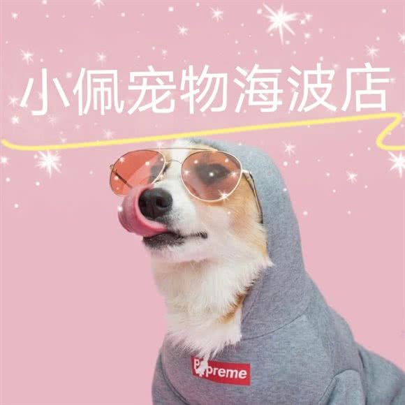 PETKIT小佩宠物(海波店):上海城区嘉定区江桥附近