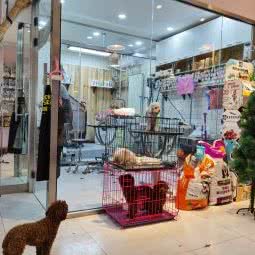 意家宠物店:北京城区海淀区北京西站/军博附近