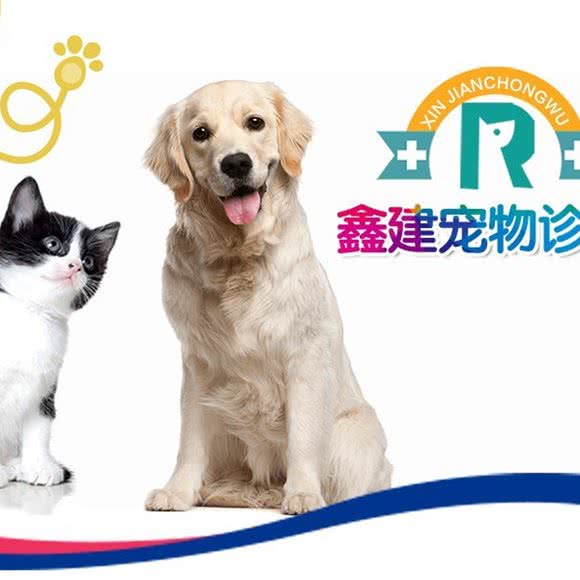 鑫建宠物诊所(丰庄店):上海城区嘉定区丰庄附近