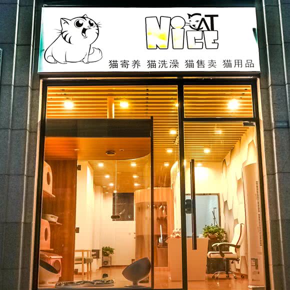 Nice宠物?猫咪馆(白银路店)(白银路店):上海城区嘉定区嘉定新城附近