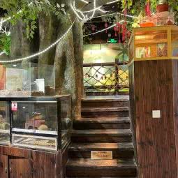 我爱萌宠:上海城区嘉定区嘉定新城附近