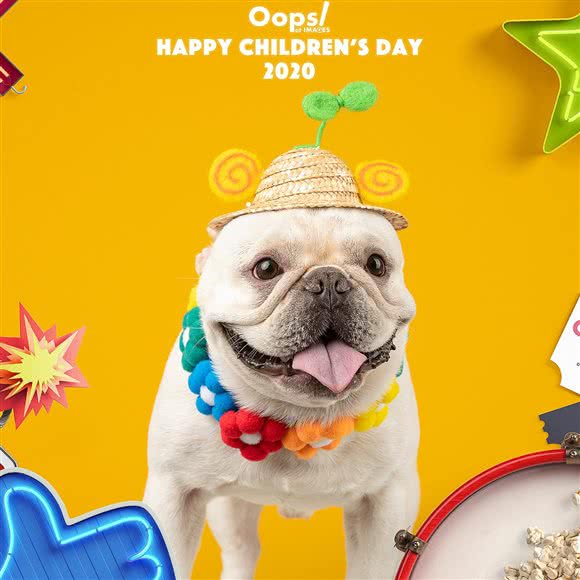 Oops宠物摄影:上海城区嘉定区嘉定新城附近