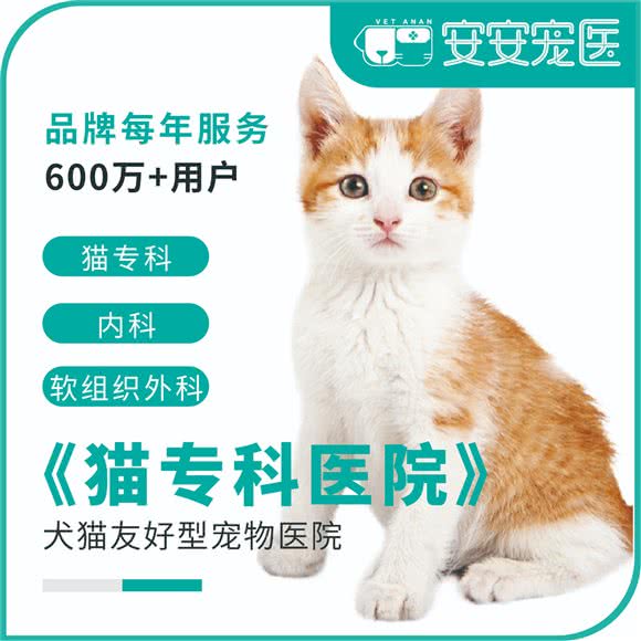 安安宠医(德富路分院全科中心):上海城区嘉定区嘉定新城附近