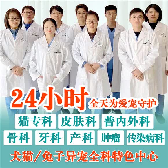 顺心宠物诊所(嘉定新城店):上海城区嘉定区嘉定新城附近