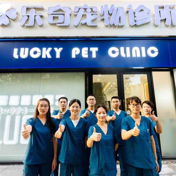 乐奇宠物诊所:上海城区嘉定区嘉定新城附近