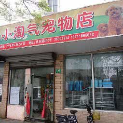 小淘气宠物店(博乐路店):上海城区嘉定区博乐广场/州桥老街附近