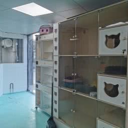 宠宠联萌(独爱独宠宠物店):上海城区嘉定区安亭新源路附近