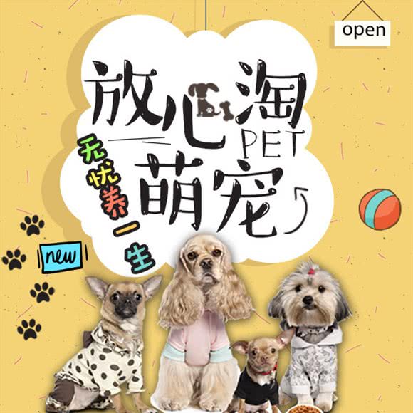 宠多多柴犬柯基犬舍活体专卖·狗狗训练工程学院:上海城区嘉定区安亭黄渡镇附近