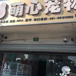 萌心宠物(外冈店):上海城区嘉定区外冈镇附近