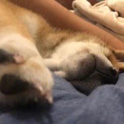 沪神柴庄:上海城区嘉定区华亭镇附近