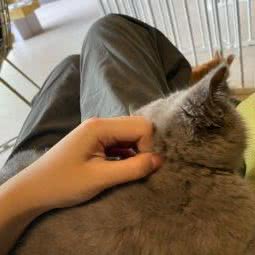 一号萌宠会所(封浜店):上海城区嘉定区封浜镇附近