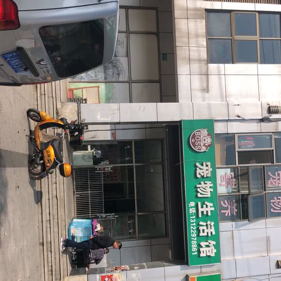 boss宠物生活馆:上海城区嘉定区封浜镇附近