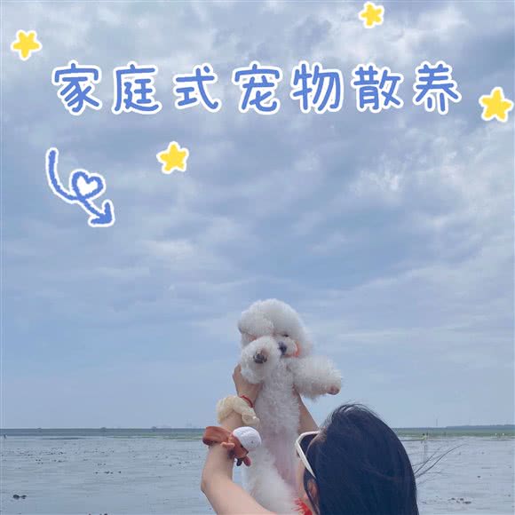 Uncle可的幼稚园家庭式寄养:上海城区嘉定区封浜镇附近