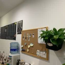 悦康缘宠物生活馆(红石路店):上海城区嘉定区嘉定西/悠活城附近