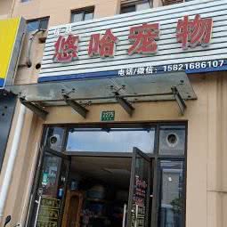 悠哈宠物:上海城区嘉定区嘉定西/悠活城附近