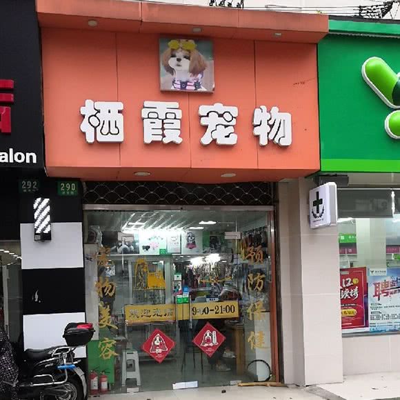 栖霞宠物:上海城区浦东新区陆家嘴附近