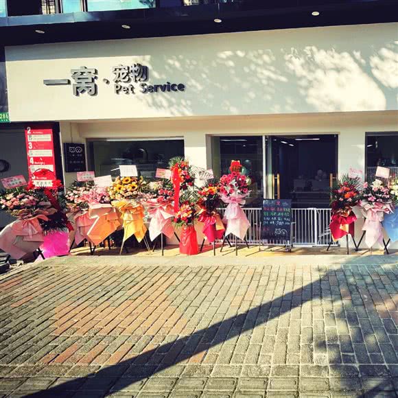 一窝:上海城区浦东新区陆家嘴附近