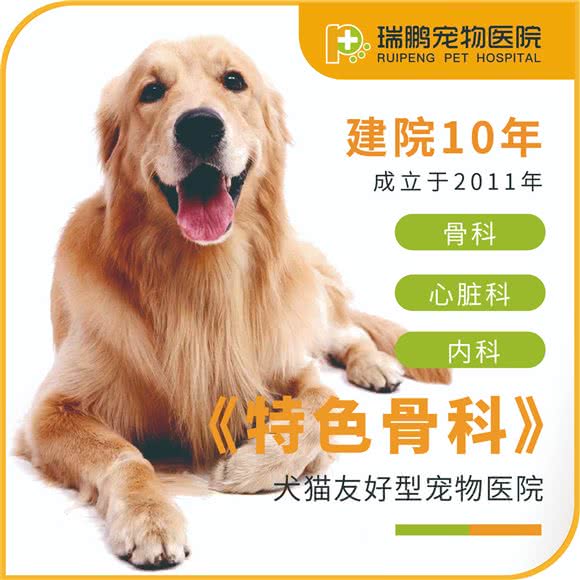 瑞鹏宠物医院(联洋分院):上海城区浦东新区世纪公园/科技馆附近