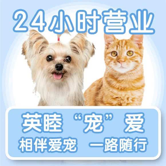 英睦宠物医院24小时·猫专科:上海城区浦东新区世纪公园/科技馆附近