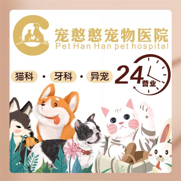 宠憨憨24小时宠物医院:上海城区浦东新区世纪公园/科技馆附近