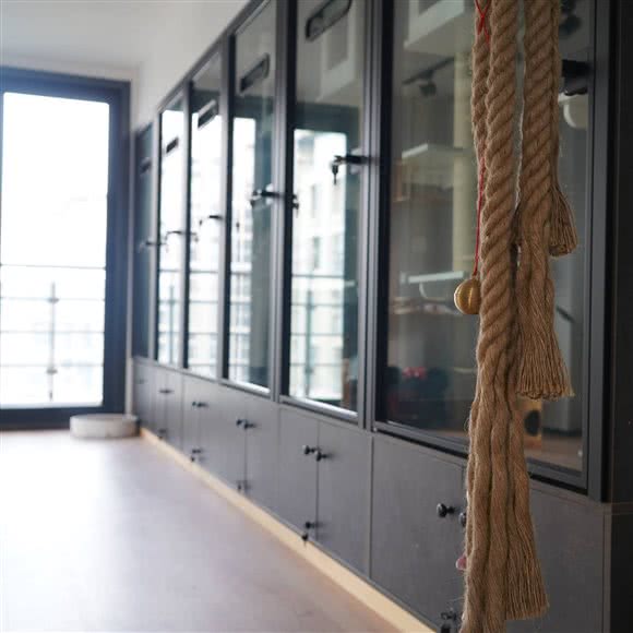 深蓝色宇宙专业猫咪寄养酒店:上海城区浦东新区金桥附近