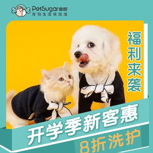 PetSugar倍甜宠物生活馆(文峰广场店):上海城区浦东新区金桥附近