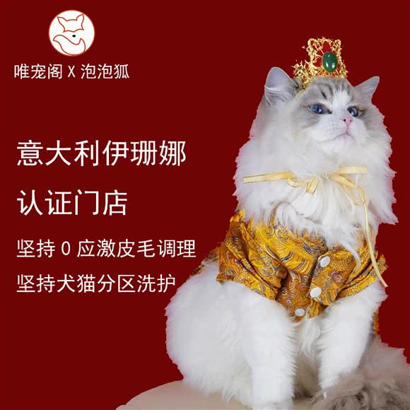 KIDDY NAP唯宠阁·柴犬玩偶之家:上海城区浦东新区金桥附近