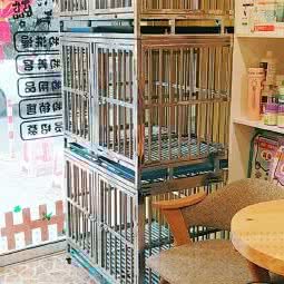 上海巴吉度宠物店:上海城区浦东新区金桥附近