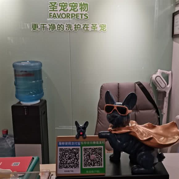 圣宠宠物(张杨店):上海城区浦东新区金桥附近