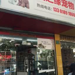 爱之缘宠物狗:上海城区浦东新区金桥附近