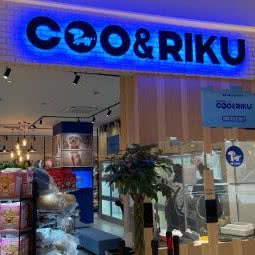 Coo&Riku:上海城区浦东新区金桥附近