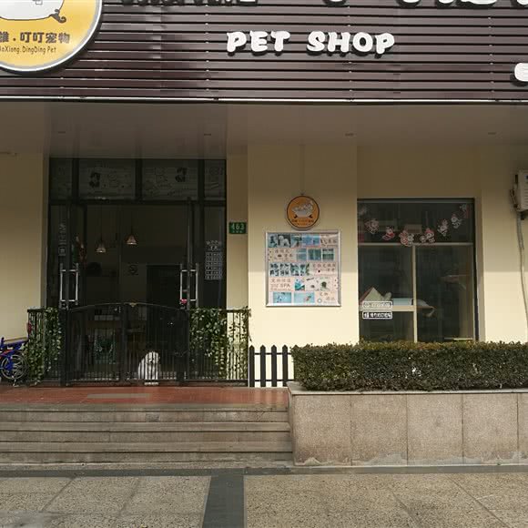 傲雄·叮叮宠物(浦东证大家园店):上海城区浦东新区金桥附近
