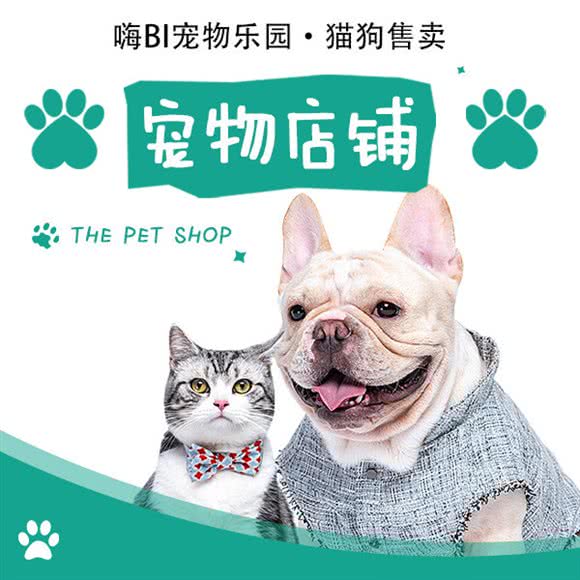 嗨Bi狗狗乐园?猫狗售卖:上海城区浦东新区金桥附近