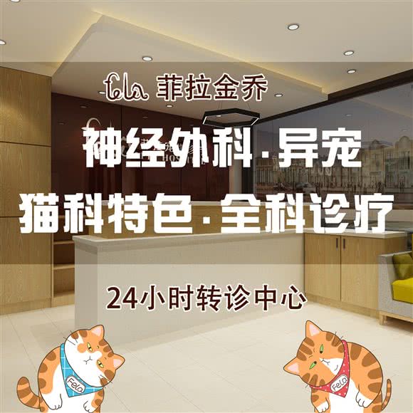 菲拉金乔宠物医院:上海城区浦东新区金桥附近