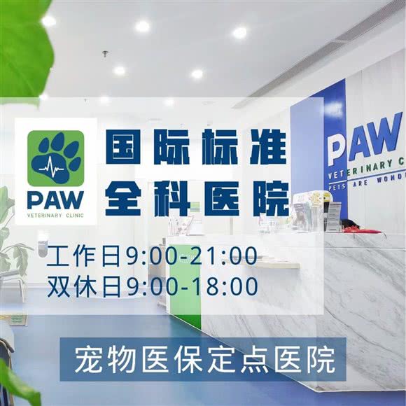 佩兹宠物医院(国际猫友好诊所 浦东店):上海城区浦东新区金桥附近