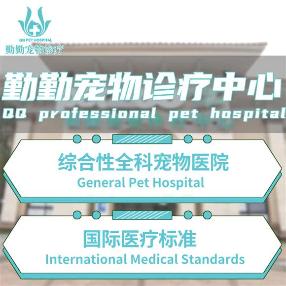 勤勤宠物诊疗中心(犬猫综合性全科分院):上海城区浦东新区金桥附近