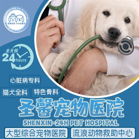 圣馨宠医·24h急重症(巨峰路店):上海城区浦东新区金桥附近