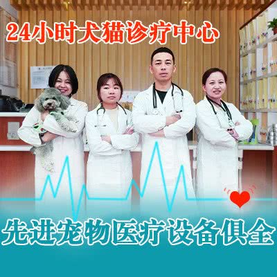 皆爱宠物诊所:上海城区浦东新区上南地区附近