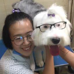 宠儿狗狗:上海城区浦东新区张江附近